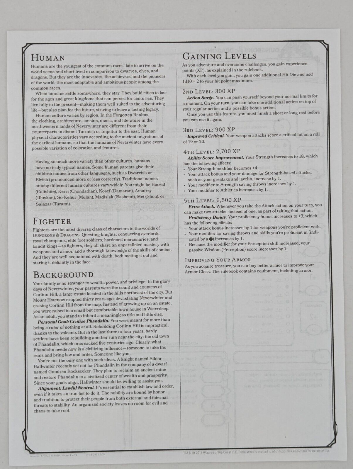 D&D STARTER SET Character Sheets Dungeons & Dragons 5E Toys & Hobbies:Games:Role Playing Games:Dungeons & Dragons:Player's Handbooks Wizards of the Coast   