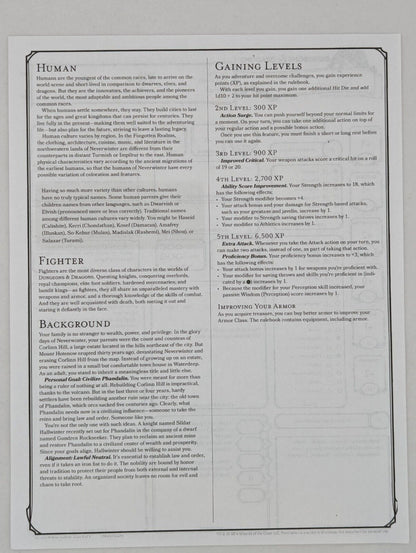 D&D STARTER SET Character Sheets Dungeons & Dragons 5E Toys & Hobbies:Games:Role Playing Games:Dungeons & Dragons:Player's Handbooks Wizards of the Coast   