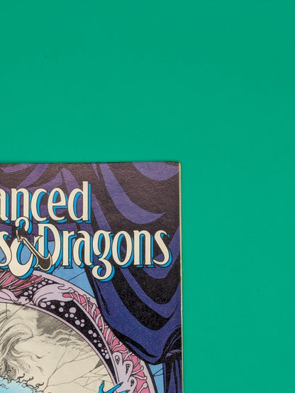 Advanced Dungeons and Dragons #19 (1990) - DC Comics Collectibles:Comic Books & Memorabilia:Comics:Comics & Graphic Novels JJJambers Jamboree   