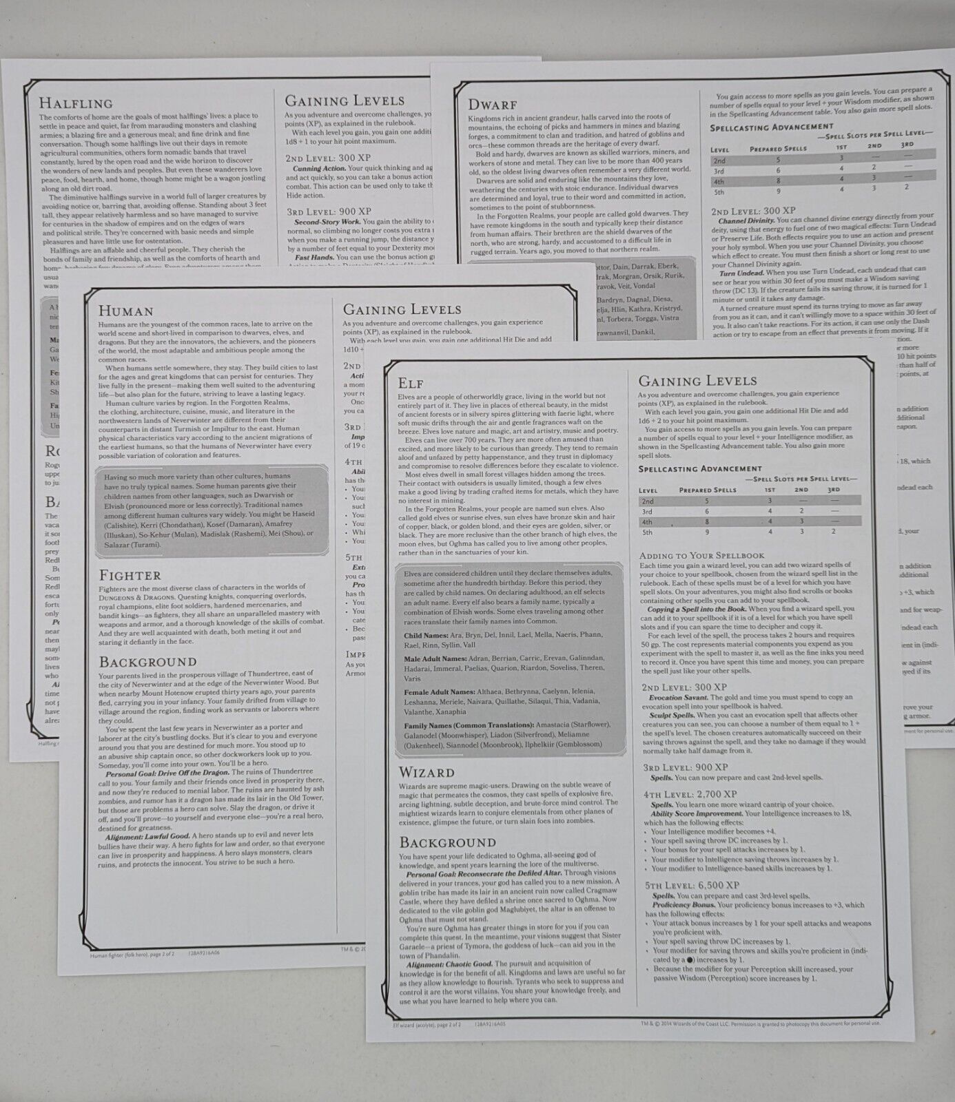 D&D STARTER SET Character Sheets Dungeons & Dragons 5E Toys & Hobbies:Games:Role Playing Games:Dungeons & Dragons:Player's Handbooks Wizards of the Coast   