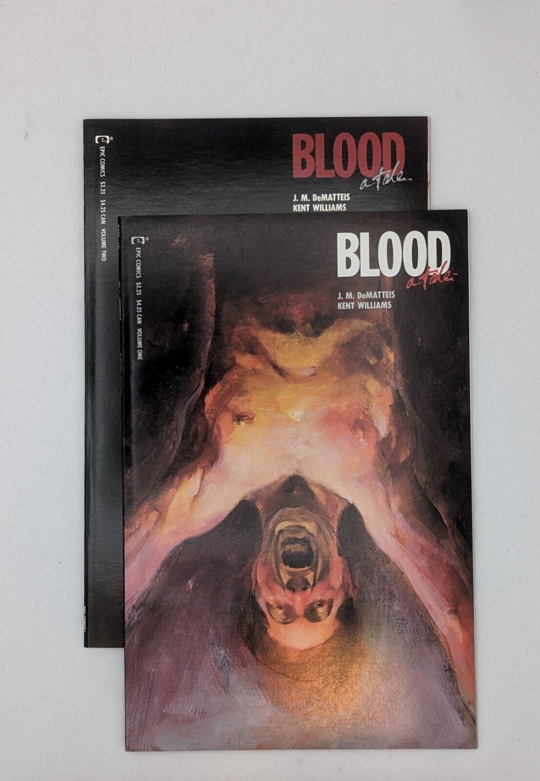 BLOOD: A Tale #1-2 VF (Epic/Marvel 1987) J.M. DeMatteis Collectibles:Comic Books & Memorabilia:Comics:Comics & Graphic Novels JJJambers Jamboree   