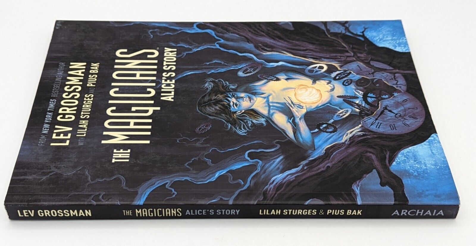 Magicians, The: Alices Story - Paperback By Lev Grossman Collectibles:Comic Books & Memorabilia:Comics:Comics & Graphic Novels Unbranded   