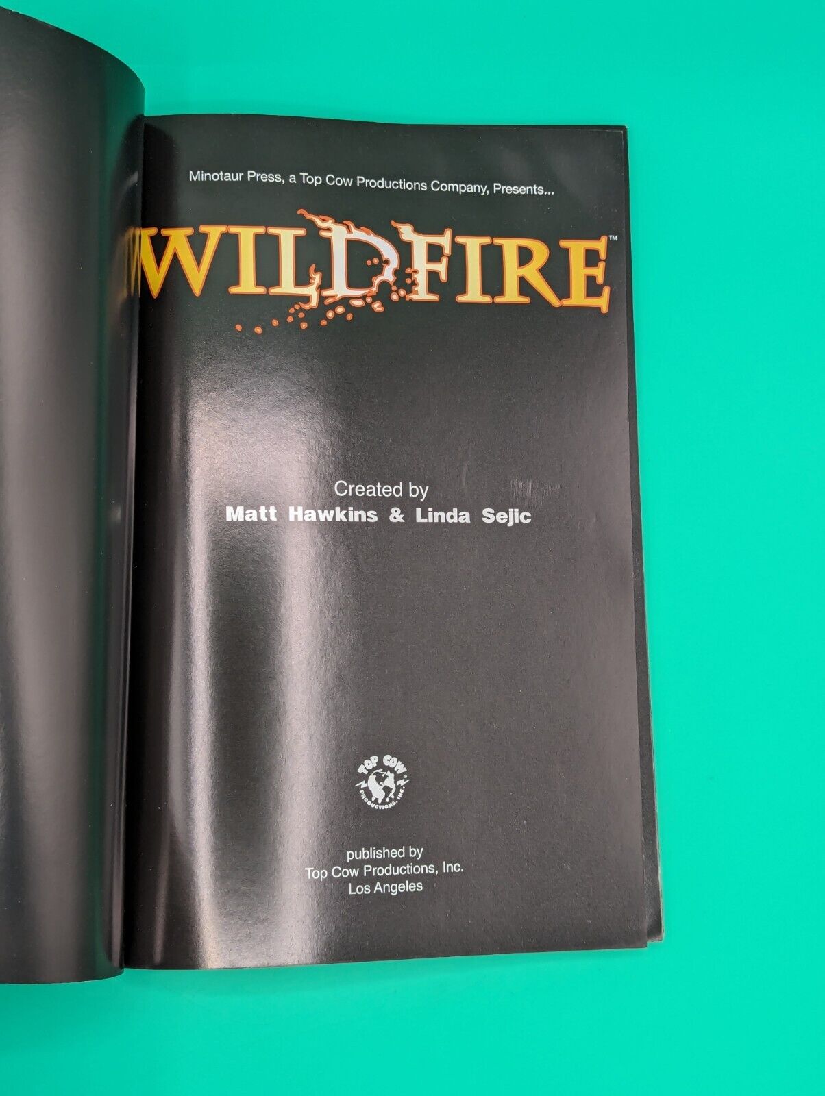 Wildfire Vol. 1 - Top Cow/Image TPB Collectibles:Comic Books & Memorabilia:Comics:Comics & Graphic Novels JJJambers Jamboree   