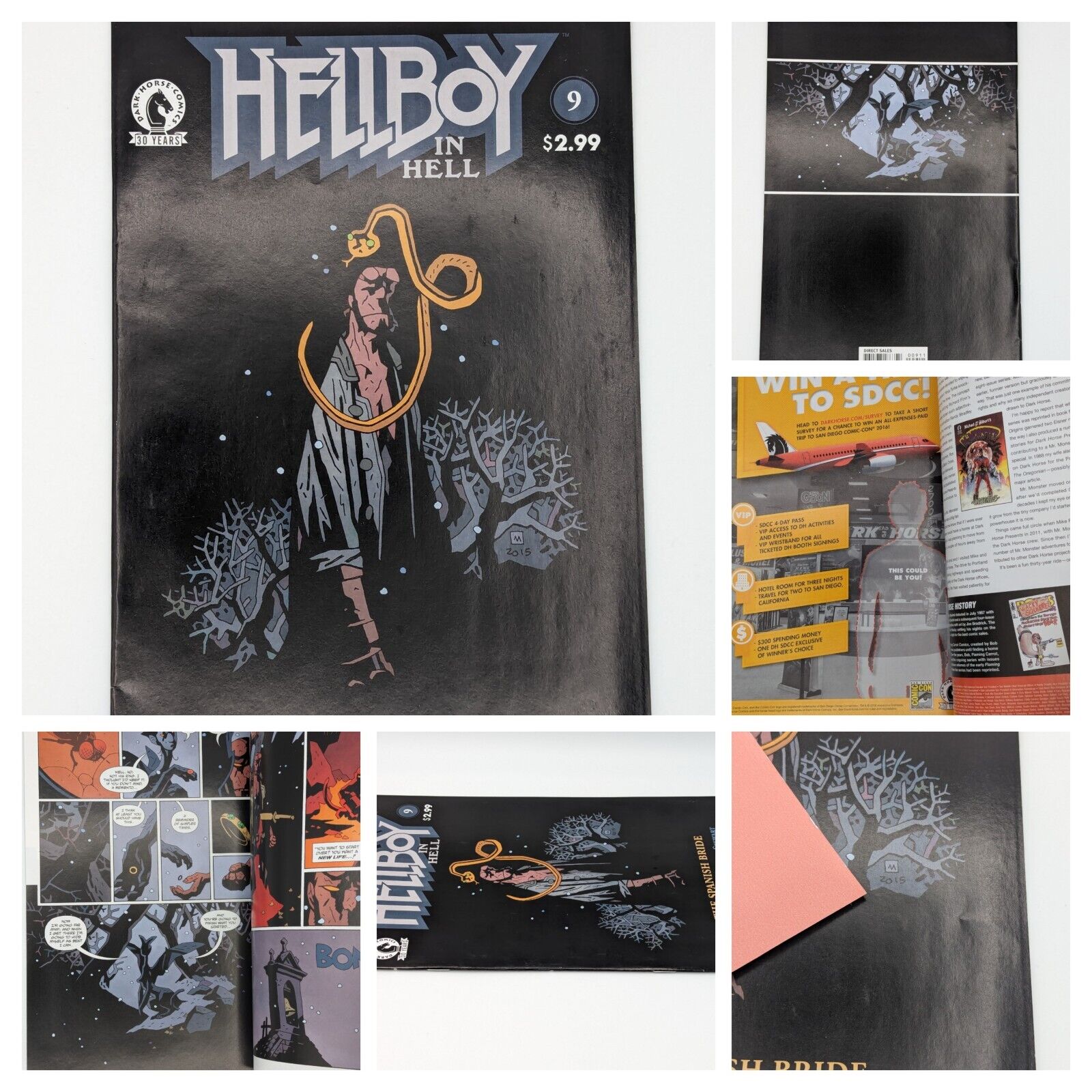 Hellboy In Hell #9 (2012) - Image Vomics Collectibles:Comic Books & Memorabilia:Comics:Comics & Graphic Novels JJJambers Jamboree   