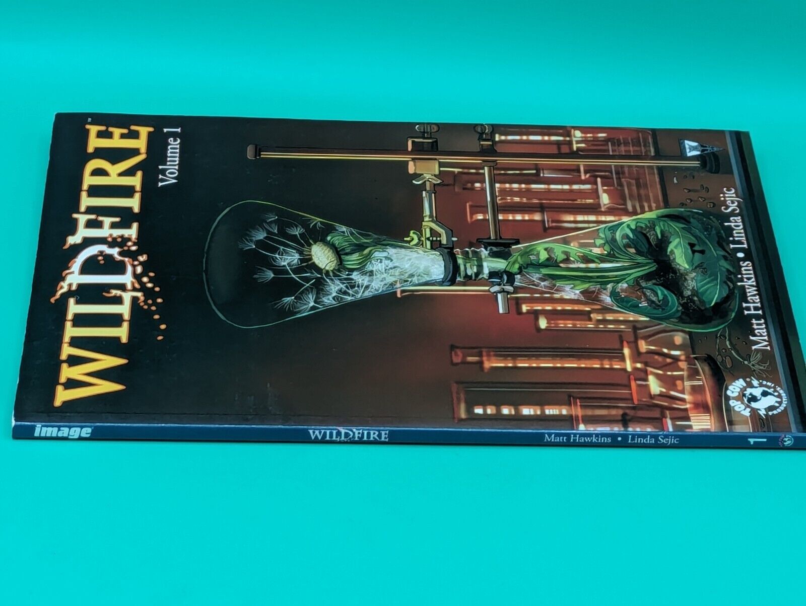 Wildfire Vol. 1 - Top Cow/Image TPB Collectibles:Comic Books & Memorabilia:Comics:Comics & Graphic Novels JJJambers Jamboree   