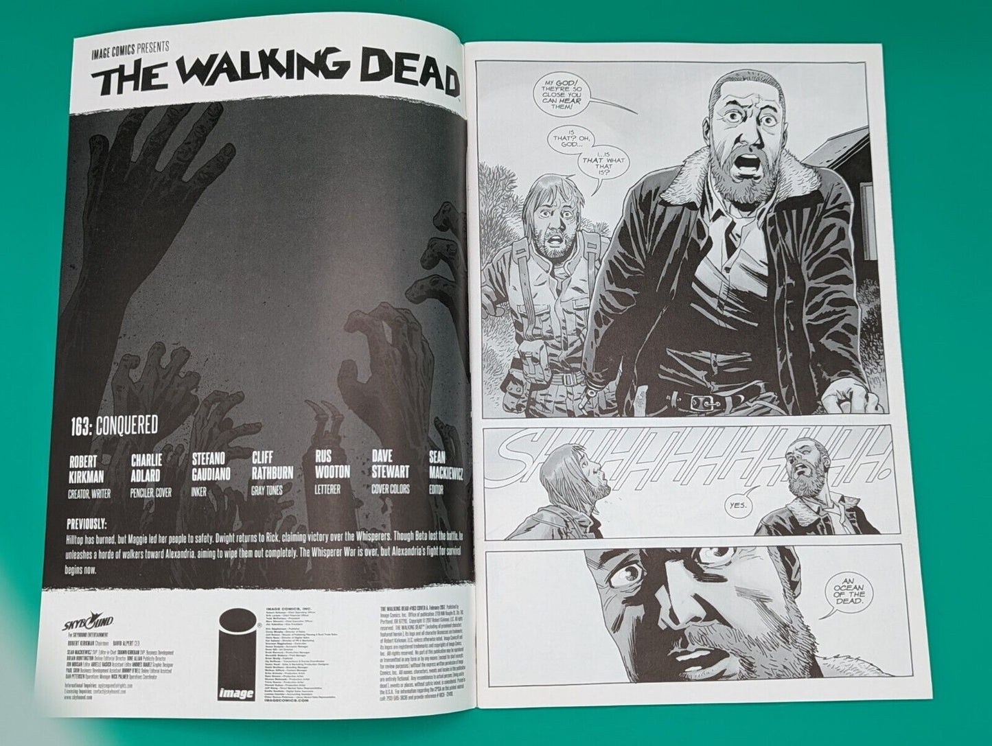 The Walking Dead #163 [2017] Conquered Robert Kirkman Print ERROR see Descript Collectibles:Comic Books & Memorabilia:Comics:Comics & Graphic Novels JJJambers Jamboree   