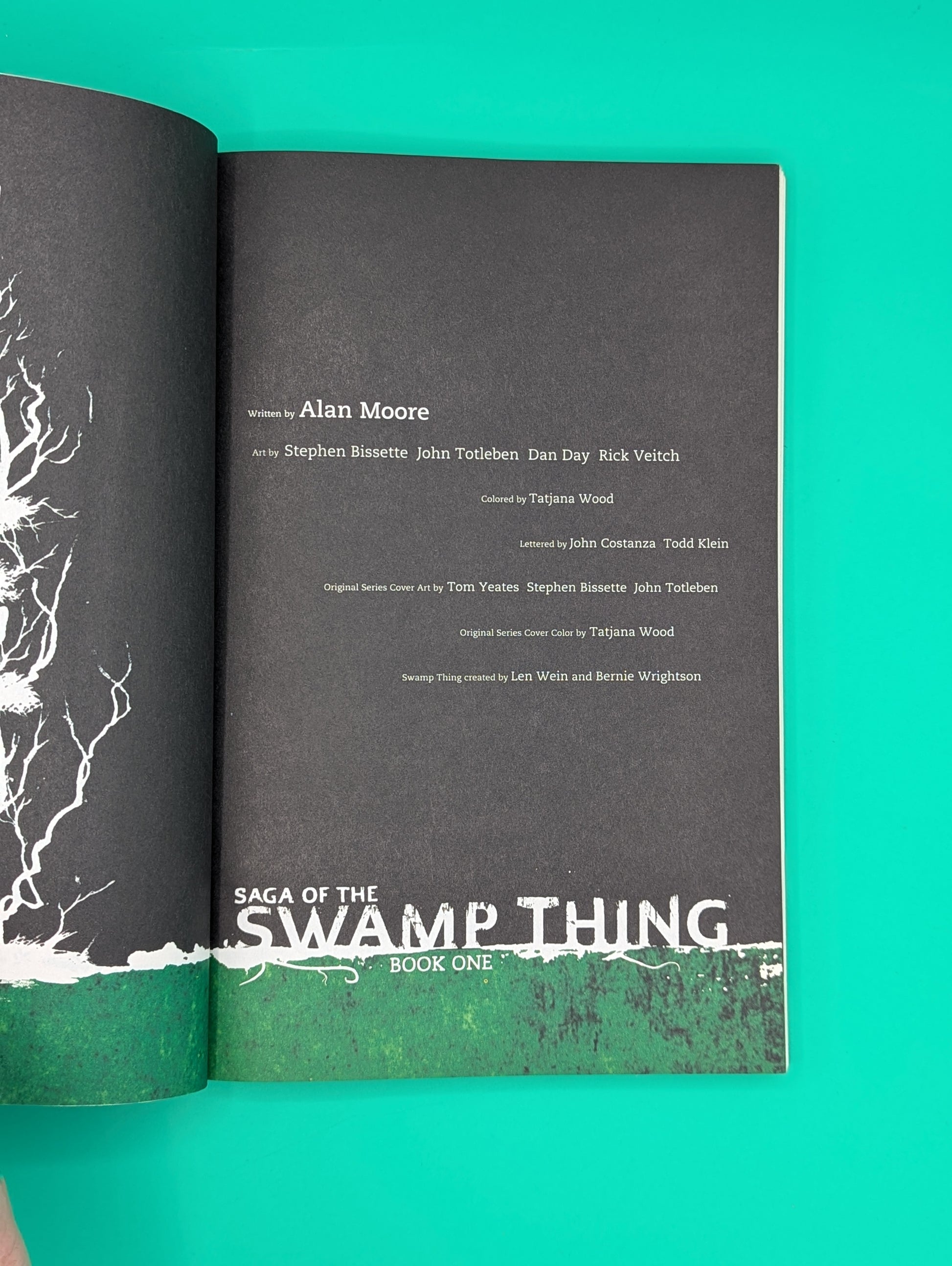 Saga of the Swamp Thing: Book One (2012) - Vertigo TPB Collectibles:Comic Books & Memorabilia:Comics:Comics & Graphic Novels JJJambers Vintage Vault   