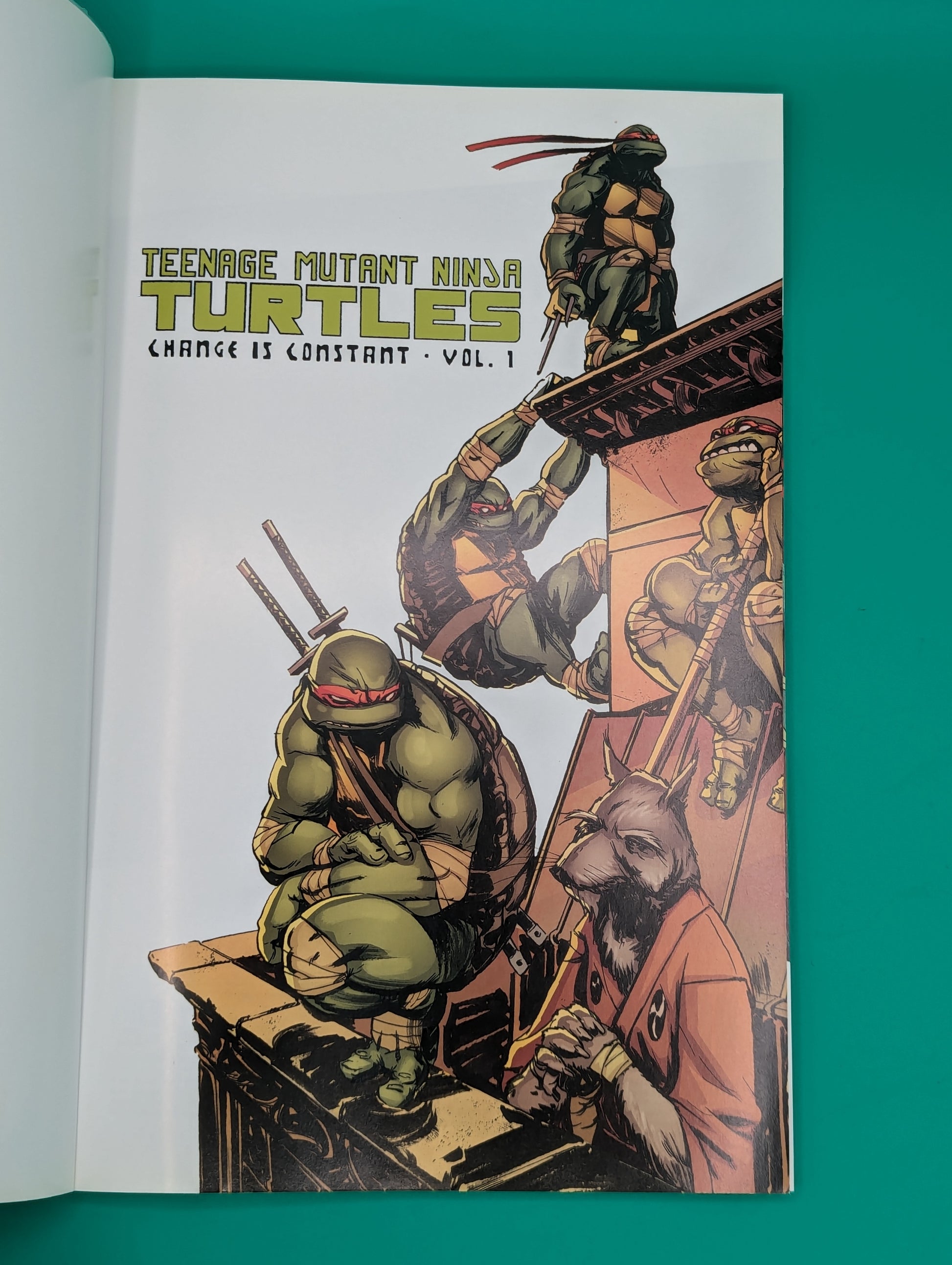 Teenage Mutant Ninja Turtles [TMNT] Vol. 1: Change is Constant - IDW TPB Collectibles:Comic Books & Memorabilia:Comics:Comics & Graphic Novels JJJambers Vintage Vault   